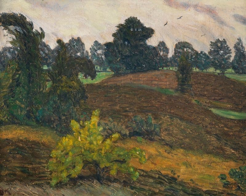 Stürmischer Tag über der Heide as a canvas print