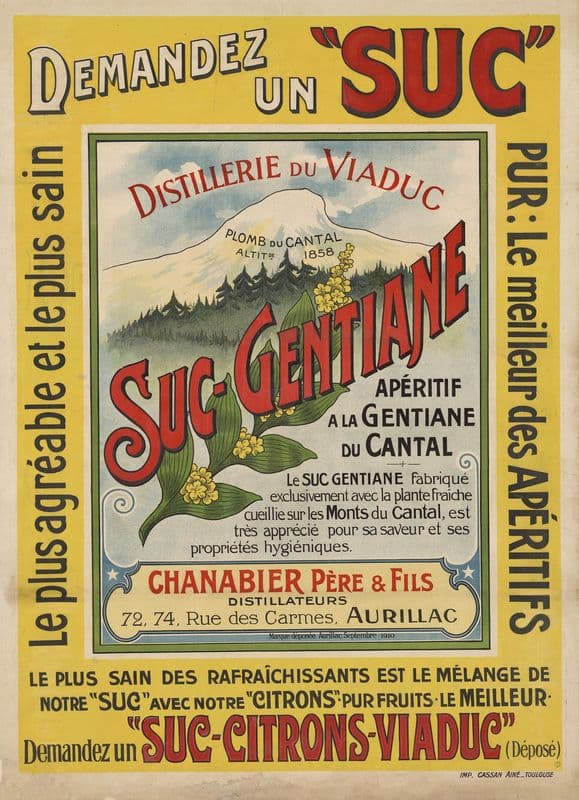 Suc de gentiane as a canvas print