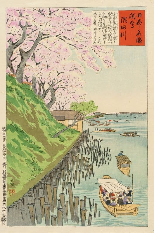 Sumida River as a canvas print