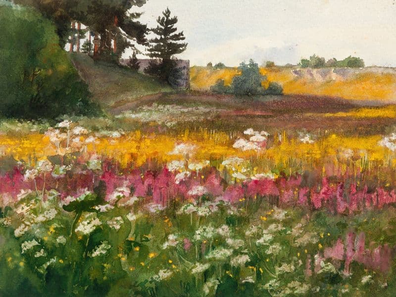 Suvine maastik as a canvas print