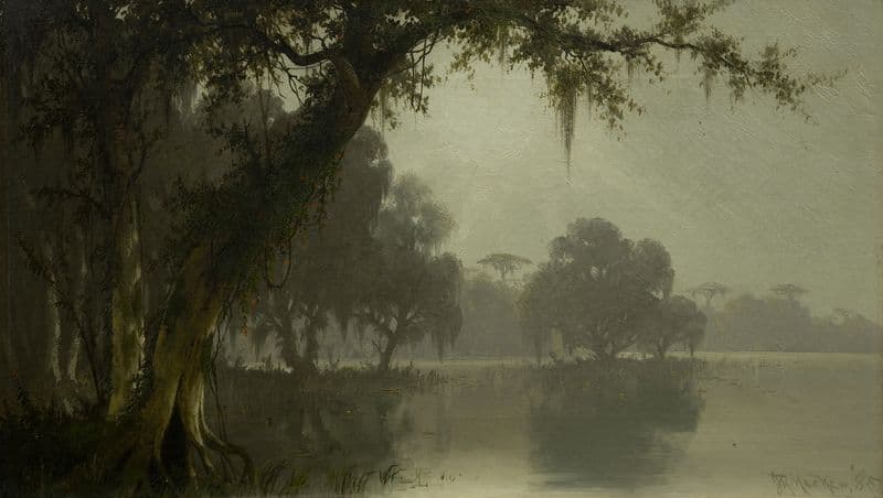 Swamp Scene as a canvas print