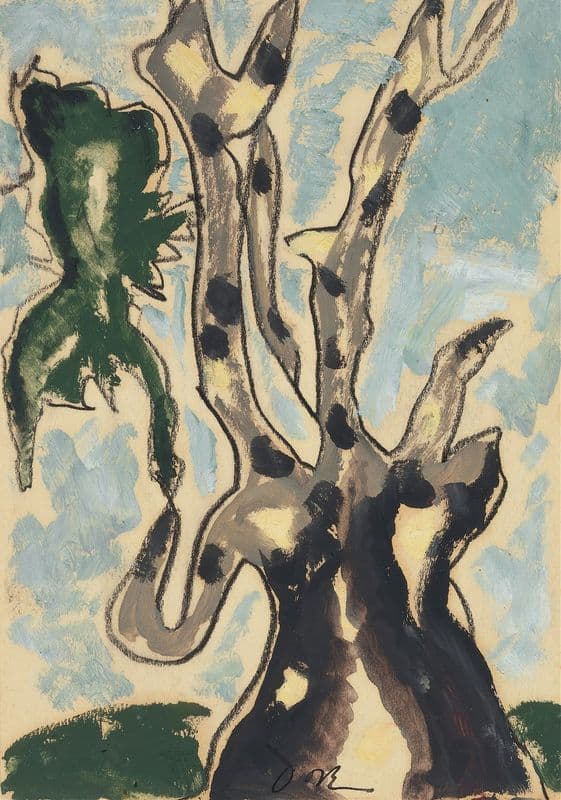 Sycamore as a canvas print