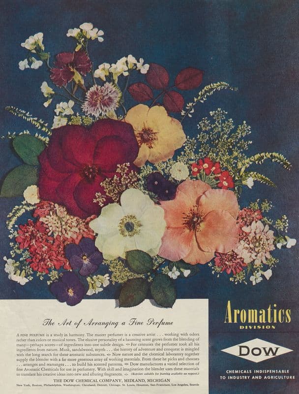The Art of Arranging a Fine Perfume as a canvas print