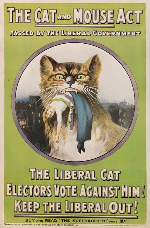 The cat and mouse act passed by the Liberal government… buy and read The Suffragette as a canvas print