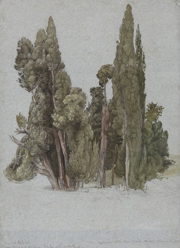 The Cypresses at the Villa d’Este, Tivoli as a canvas print