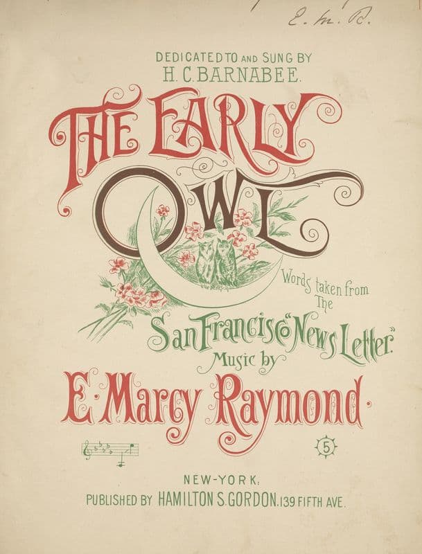 The early owl as a canvas print