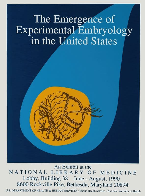 The emergence of experimental embryology in the United States as a canvas print