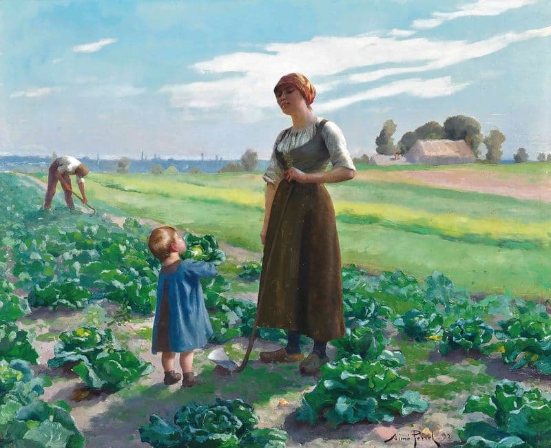 The Lettuce Patch as a canvas print