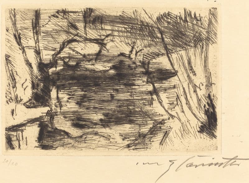 The New Lake (Der Neue See) as a canvas print