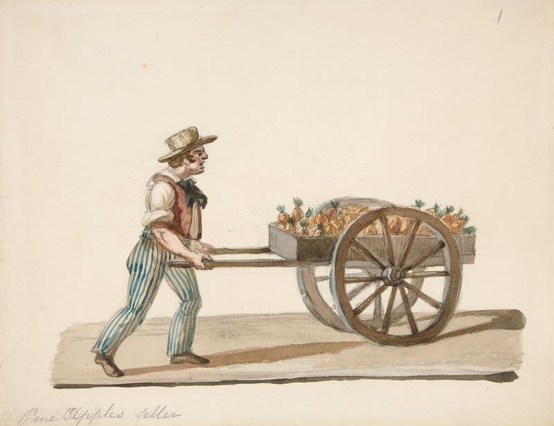 The Pineapple Seller (ca. 1840) as a canvas print