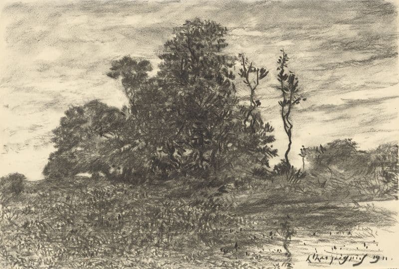 The Pond at Les Luneaux, Allier as a canvas print