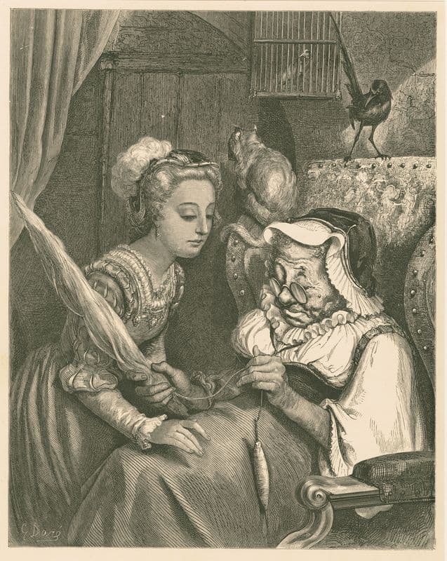 The princess looked in at the door as a canvas print