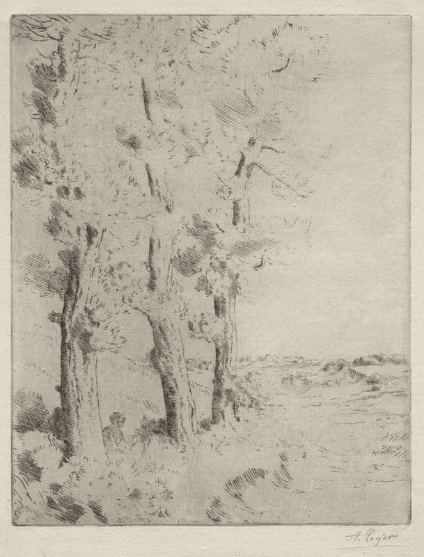The Reader; The Lecture under the Trees (c. 1882) as a canvas print