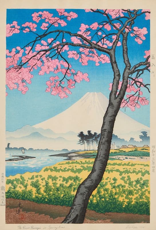 The River Banyu in Spring Time as a canvas print
