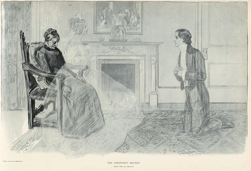 The spinster’s revery as a canvas print