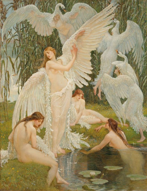 The Swan Maidens as a canvas print