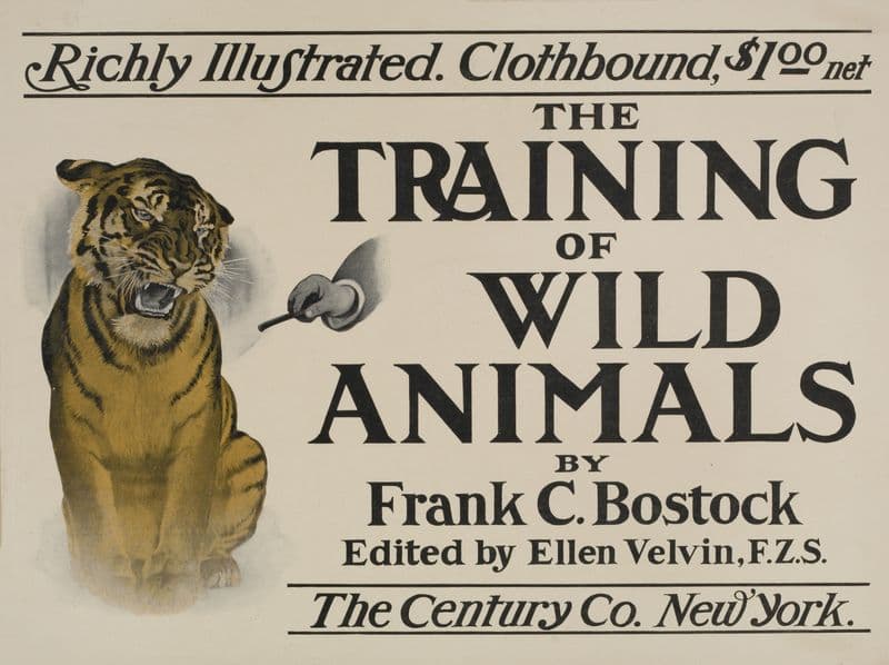 The training of wild animals (1895-1911) as a canvas print