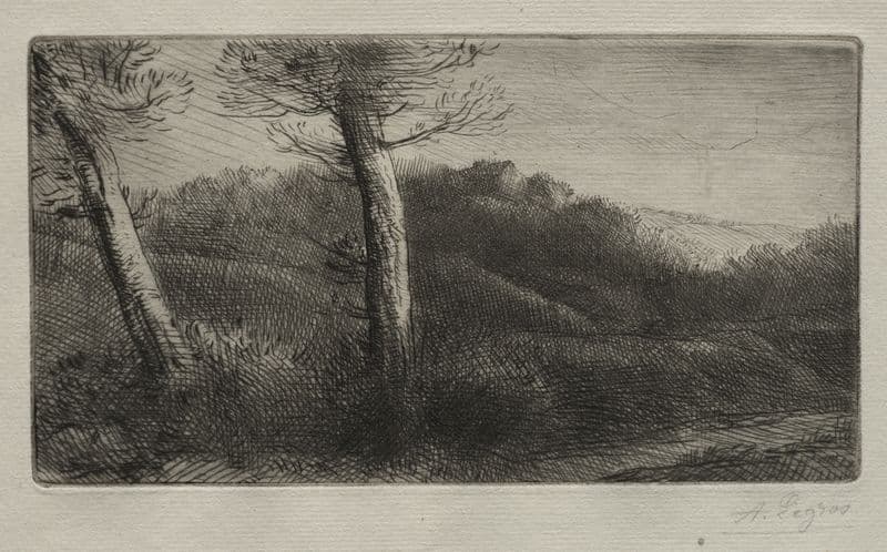The Traveler Stretched out on the Grass (c. 1888) as a canvas print