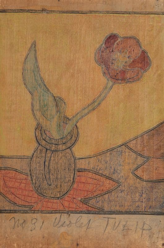 The Violet Tulip, New York as a canvas print