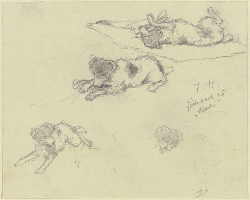 Three dog studies as a canvas print