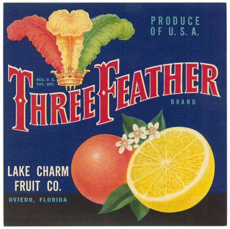 Three Feather Brand Citrus Label (1930s) as a canvas print
