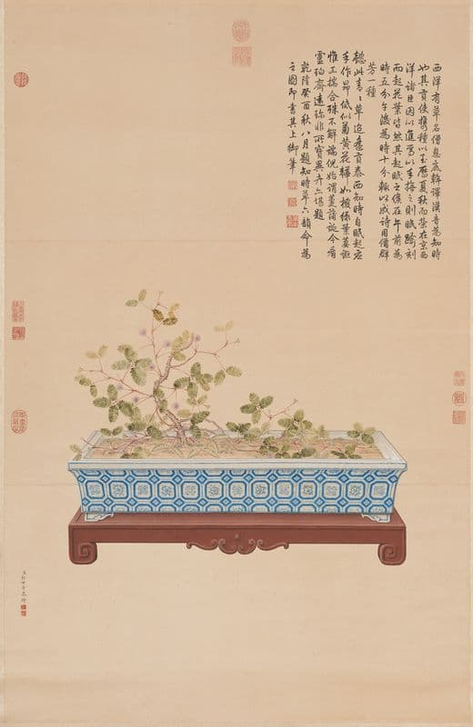 Time-Telling Plant from the West as a canvas print
