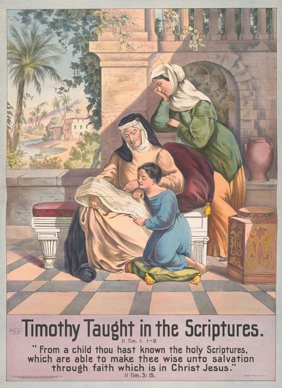 Timothy taught in the scriptures as a canvas print