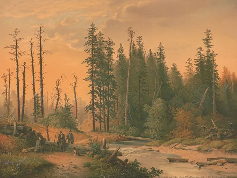 Tobyhanna Creek as a canvas print