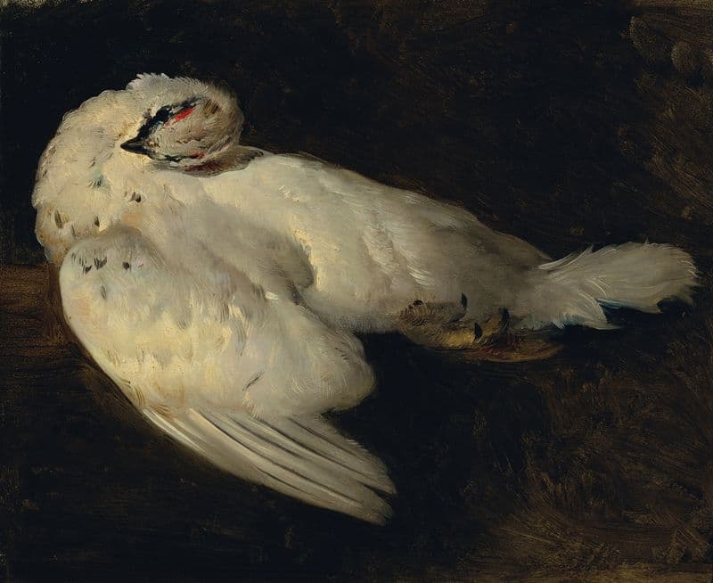Totes Schneehuhn as a canvas print