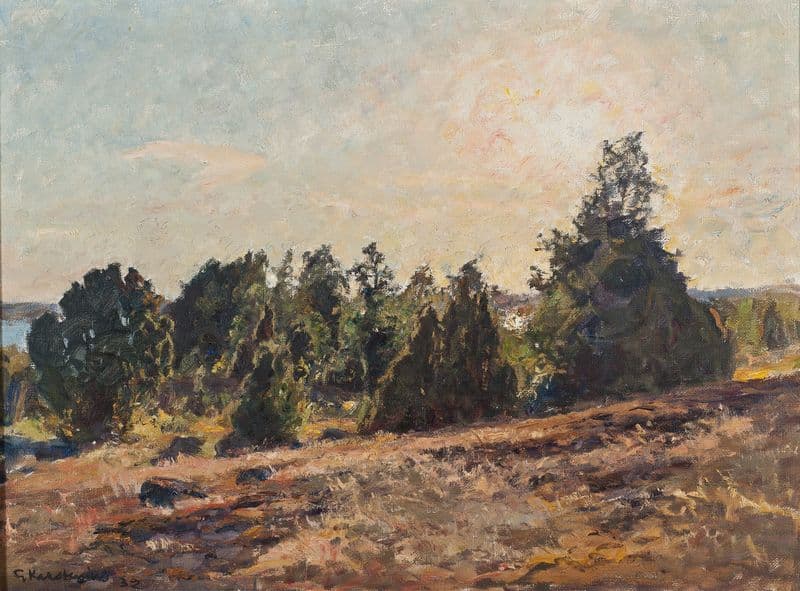 Towards Evening. Horsö in The Tjust archipelago as a canvas print