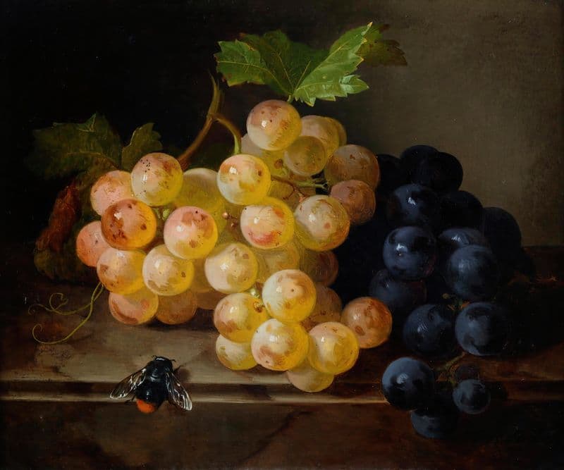 Traubenstillleben Mit Hummel as a canvas print