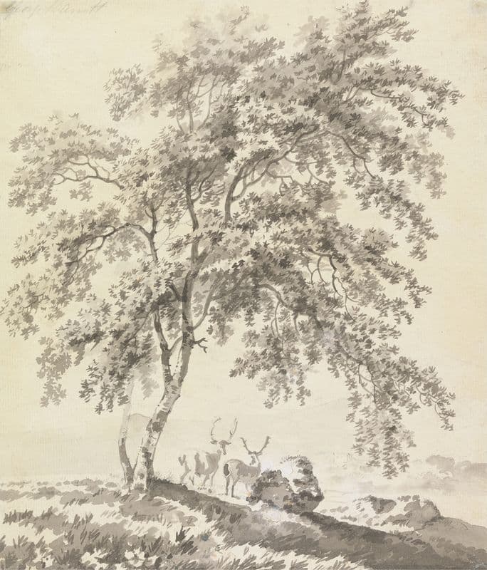 Tree Study with Stags (Landscape) as a canvas print