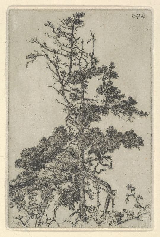 Tree Top (1900-1925) as a canvas print