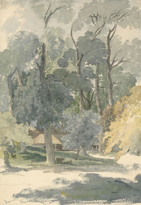 Trees and Barns in Ashstead Park, Surrey as a canvas print