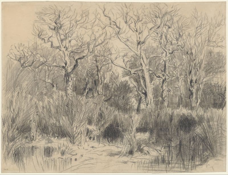 Trees in a Thicket as a canvas print