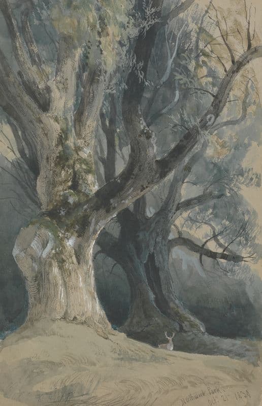 Trees in Northwick Park as a canvas print