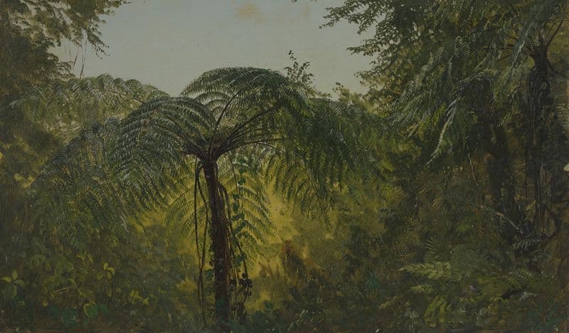 Tropical Landscape (June or July 1865) as a canvas print