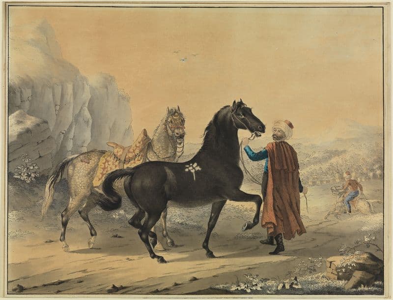 Türke mit Rappe und Schimmel as a canvas print