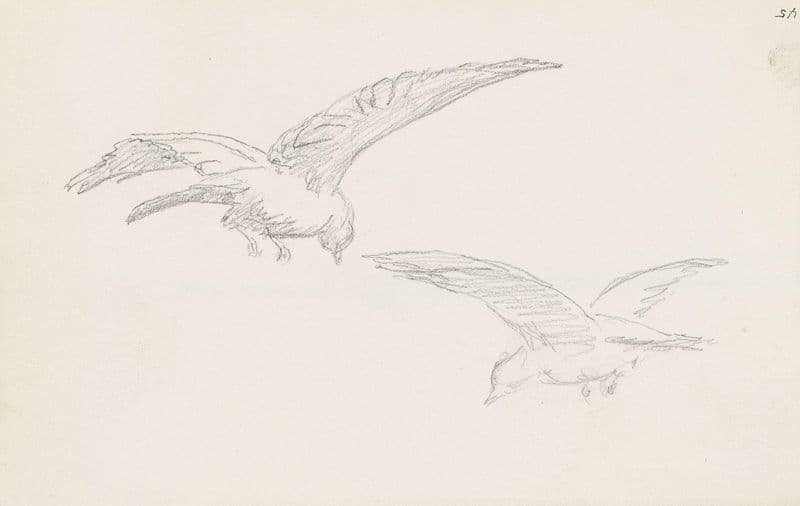 Two birds (Between 1878 and 1880) as a canvas print