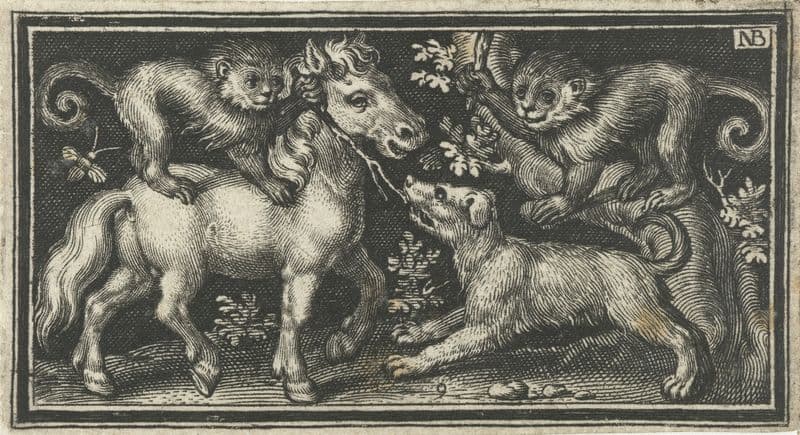 Two monkeys bully a dog as a canvas print