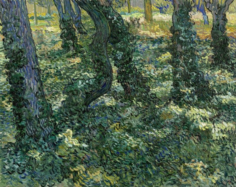Undergrowth as a canvas print