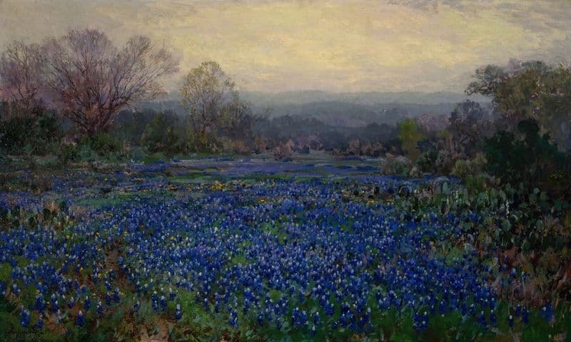 Untitled (Field of Bluebonnets) as a canvas print