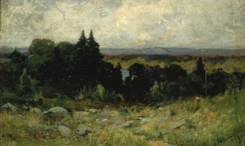 Untitled (landscape, fields with rocks and trees) as a canvas print