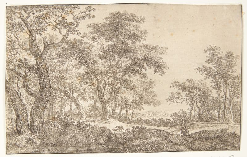 Vej i en skov as a canvas print
