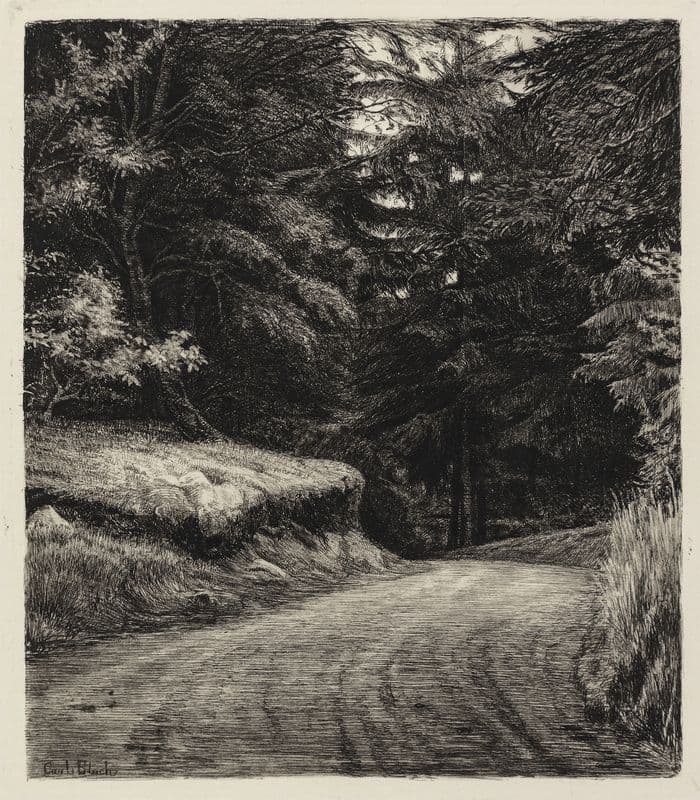 Vejen i Granskoven as a canvas print
