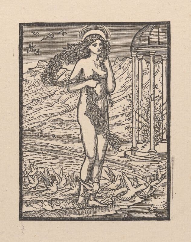 Venus as a canvas print