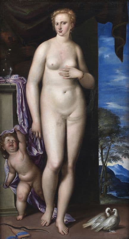 Venus and Cupid (1531 – 1578) as a canvas print