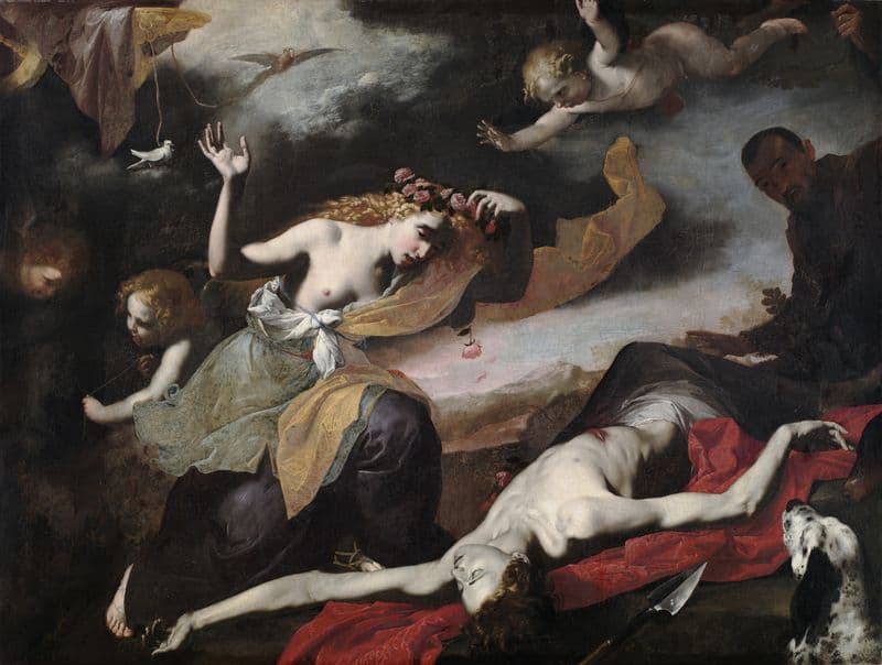 Venus Discovering the Dead Adonis (c. 1650) as a canvas print