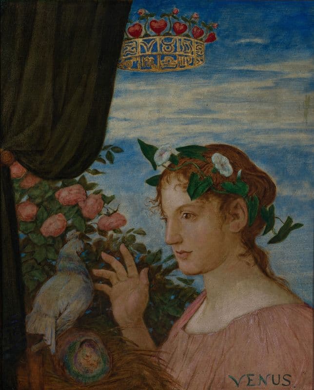 Venus (Freya) as a canvas print