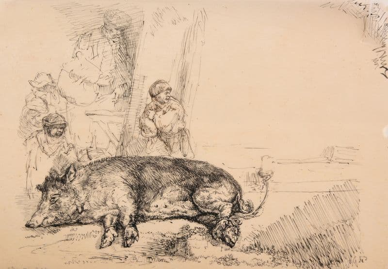 Verrat couché par terre ligoté as a canvas print